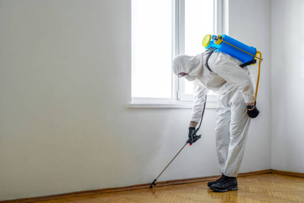 Best Pest Removal Services  in Kirksville, MO
