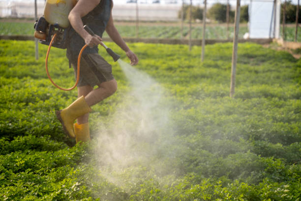 Best Pest Control for Businesses  in Kirksville, MO