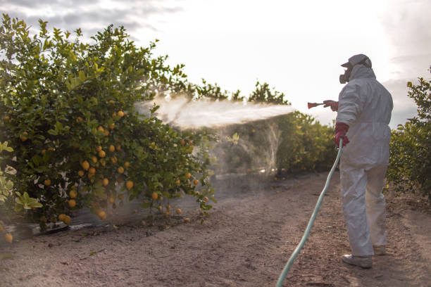 Best Mosquito Control Services  in Kirksville, MO