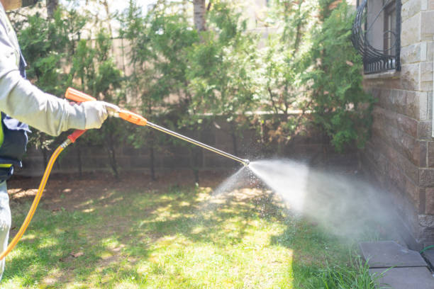 Best Affordable Pest Control Services  in Kirksville, MO