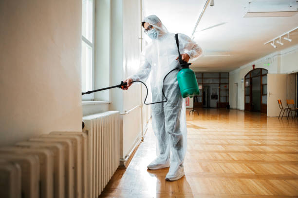 Best Affordable Pest Control Services  in Kirksville, MO