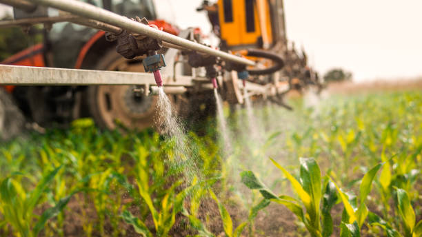 Best Best Pest Control Companies  in Kirksville, MO